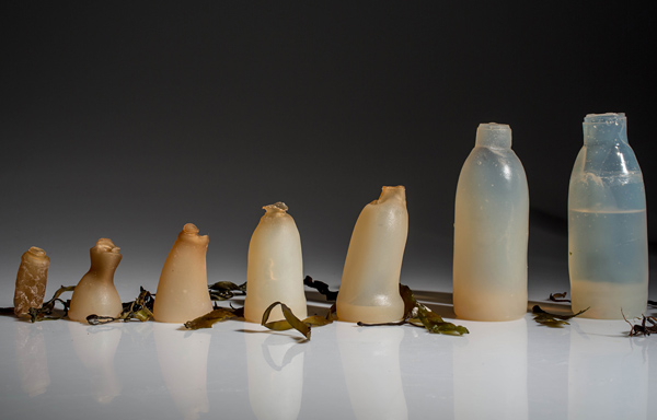 Algae-Water-Bottle-By-Ari-Jonsson