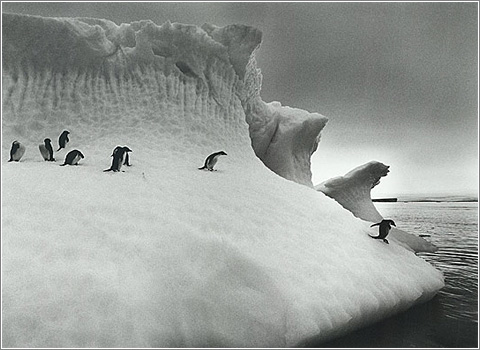 Inmensidad, por Sebastião Salgado