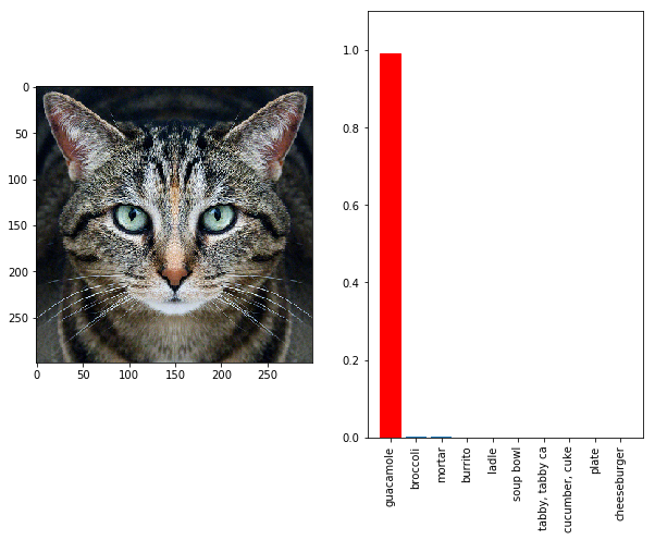 Cat adversarial