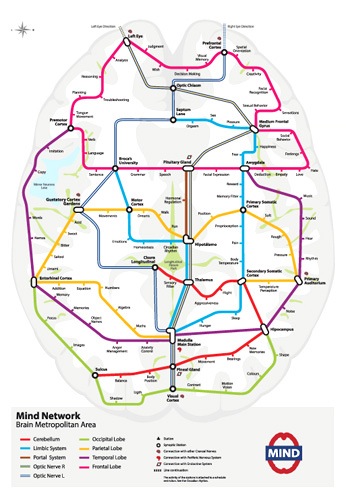 cerebro-como-plano-de-metro.jpg
