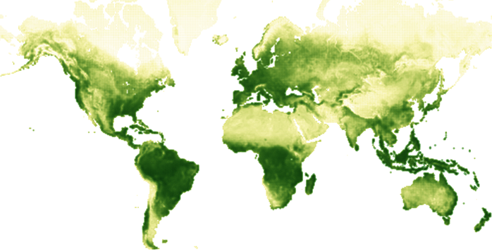 Ciclo estacional vegetacion planeta