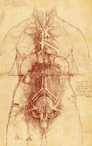 Cuerpo-Humano-Da-Vinci-1507