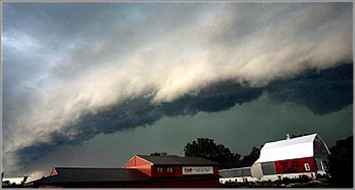 Una tormenta «Derecho» / by «About Derechos»