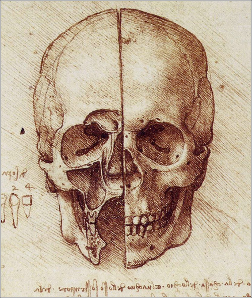 Dibujos de Leonardo da Vinci