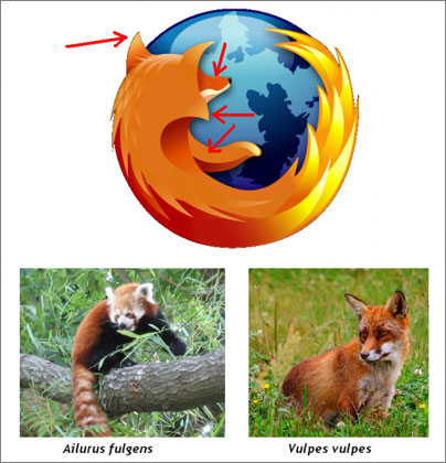 Firefox-Logo-Investigacion