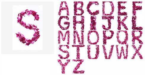 Flower Alphabet