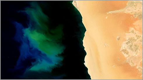 Fotplancton Namibia