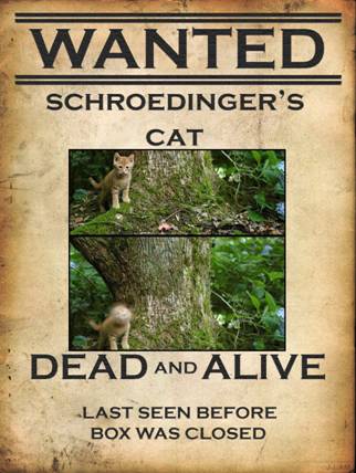 Gato-Schrodinger-Vivo-Muerto