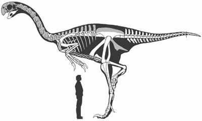 Gigantoraptor