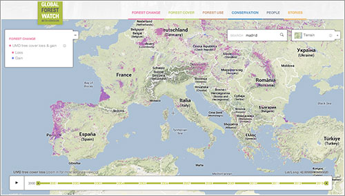 Globalforrestwatch