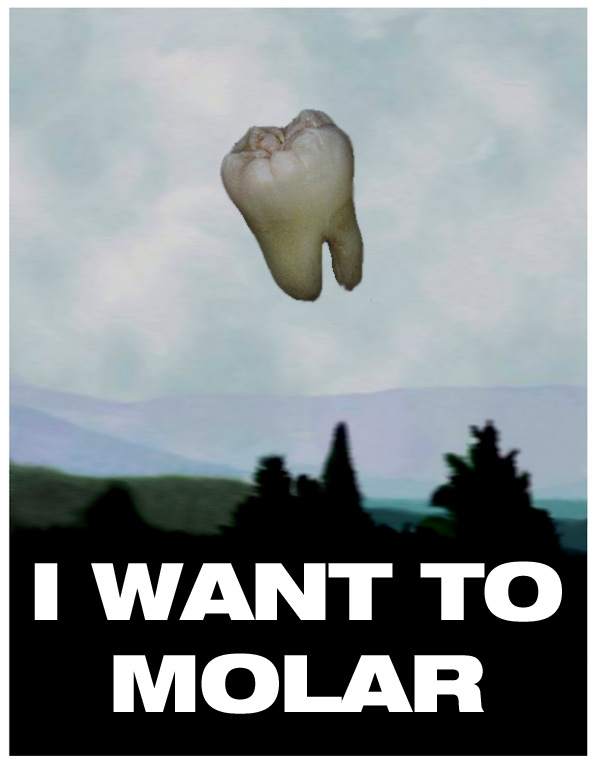 i Want to Molar