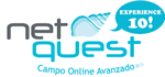 Netquest, encuestas y paneles online