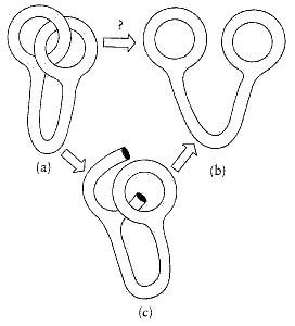 Puzzle topológico de los anillos