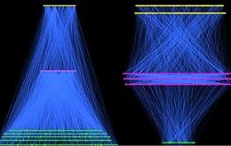 Procesos reguladores: E.coli vs Linux