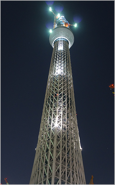 Skytree Tree (CC) Zengame @ Flickr