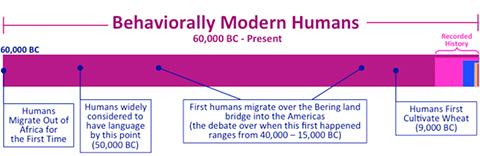 Timelinepersphuman