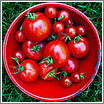 Foto: Tomato in a Square (CC) Jacki-dee