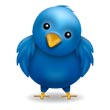 Twitter Bird