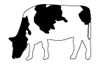 Vaca por ~700€