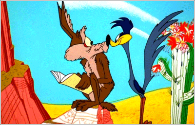 wile-coyote-roadrunner.gif
