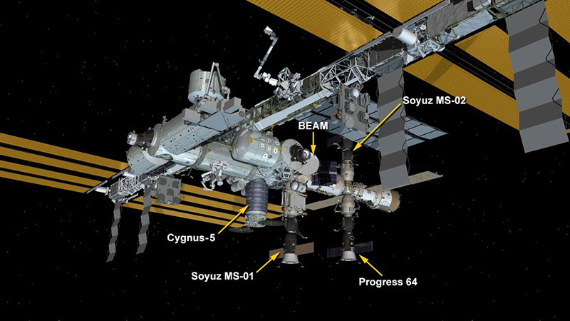 La Cygnus OA–6 y compañía