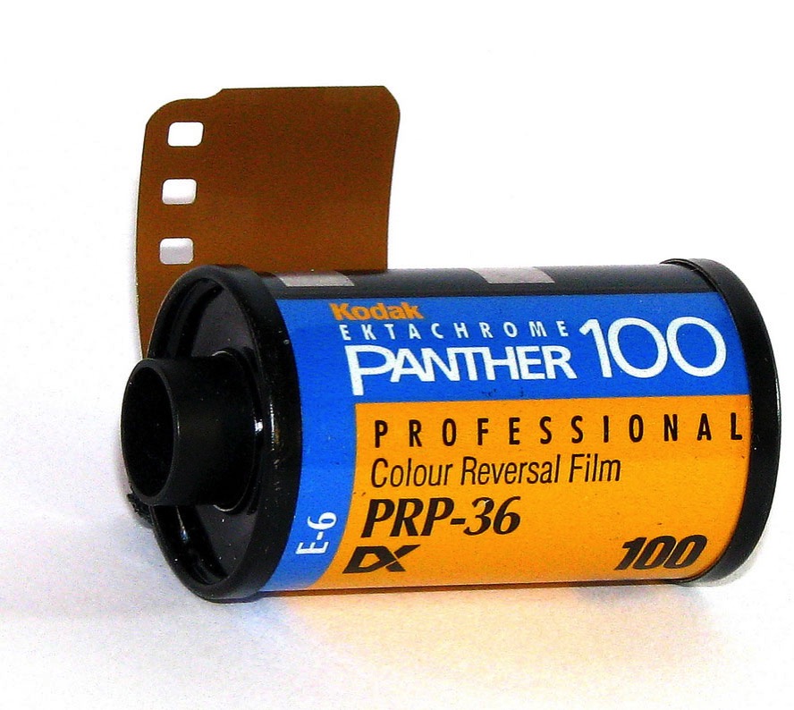 Ektachrome Panther