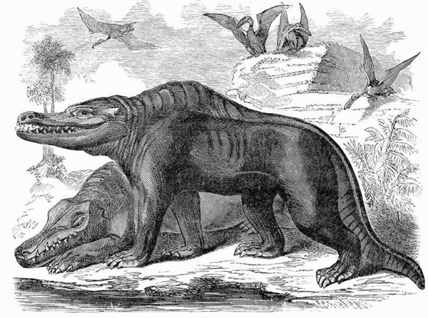 Megalosaurus