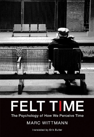 Felt Time: The Psychology of How We Perceive Time